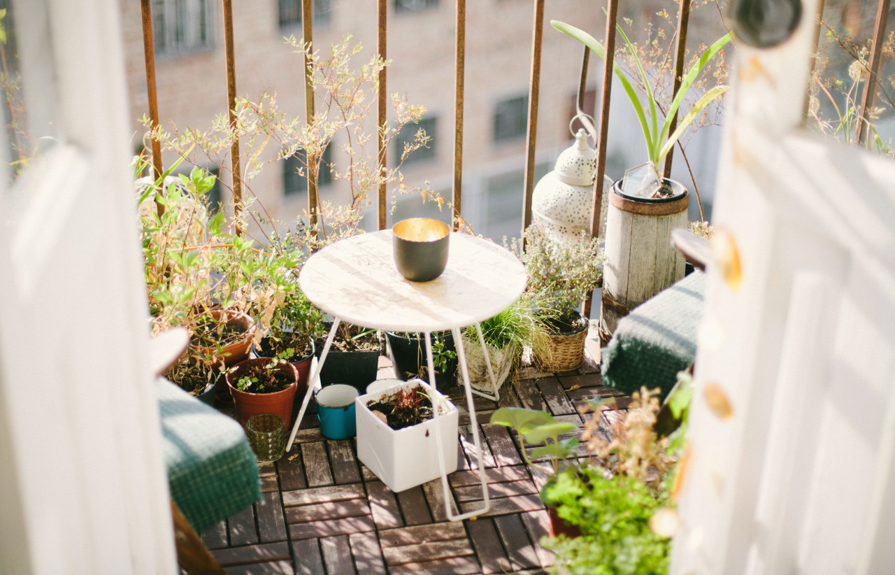 *balcon verdoyant*  vue sur un balcon en caibotis, avec des plantes