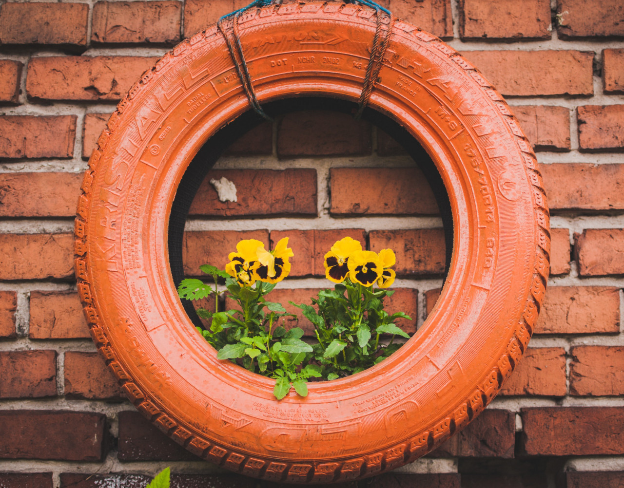 *jardinière*  pneu recyclé en jardinière, peint en orange avec des fleurs jaunes à l'interieur